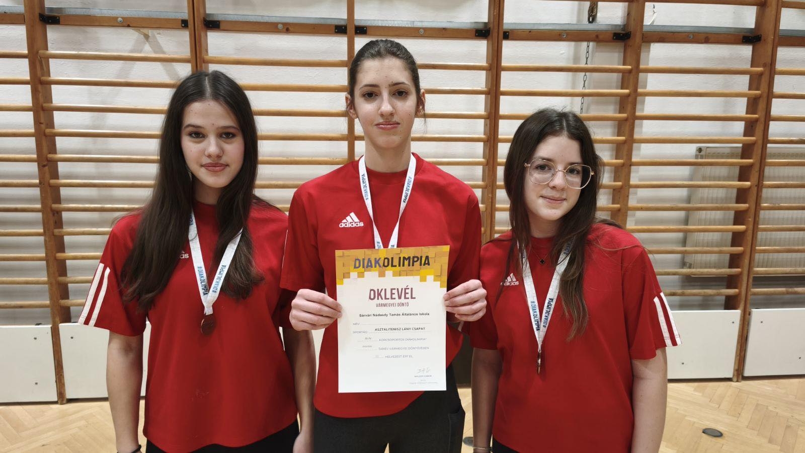 Diákolimpia vármegyei döntő- asztalitenisz