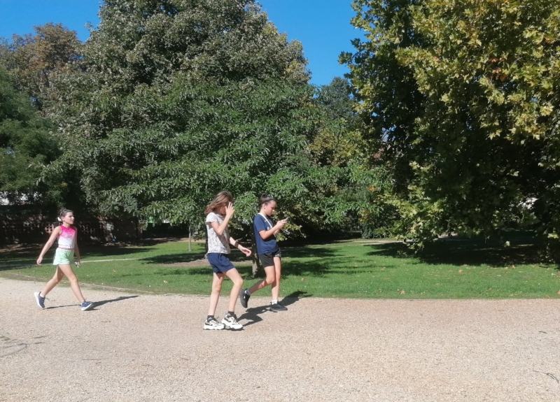 Medve Matek Csapatverseny