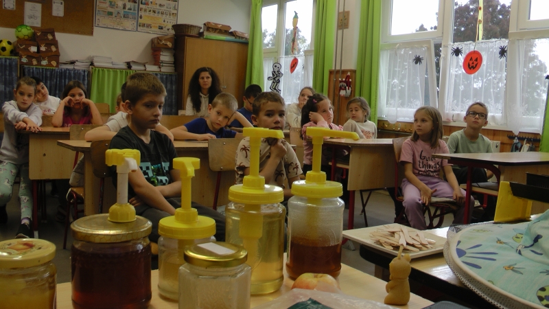 Pályaorientációs nap 