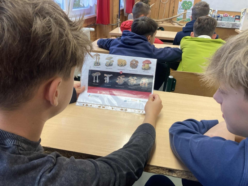 Pályaorientációs nap 