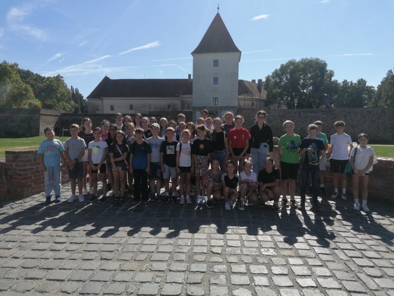 Medve Matek Csapatverseny