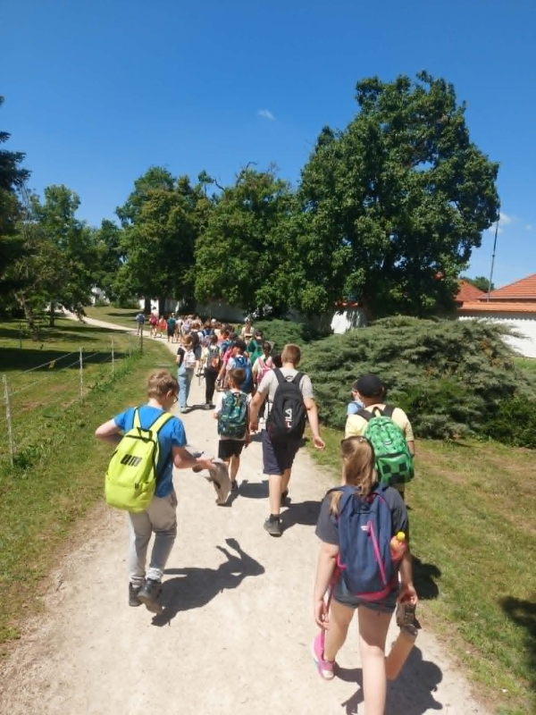 Egynapos kirándulás 3.A, 4.B