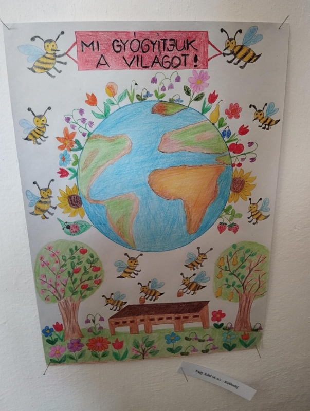 A méhek világa pályázat 2026