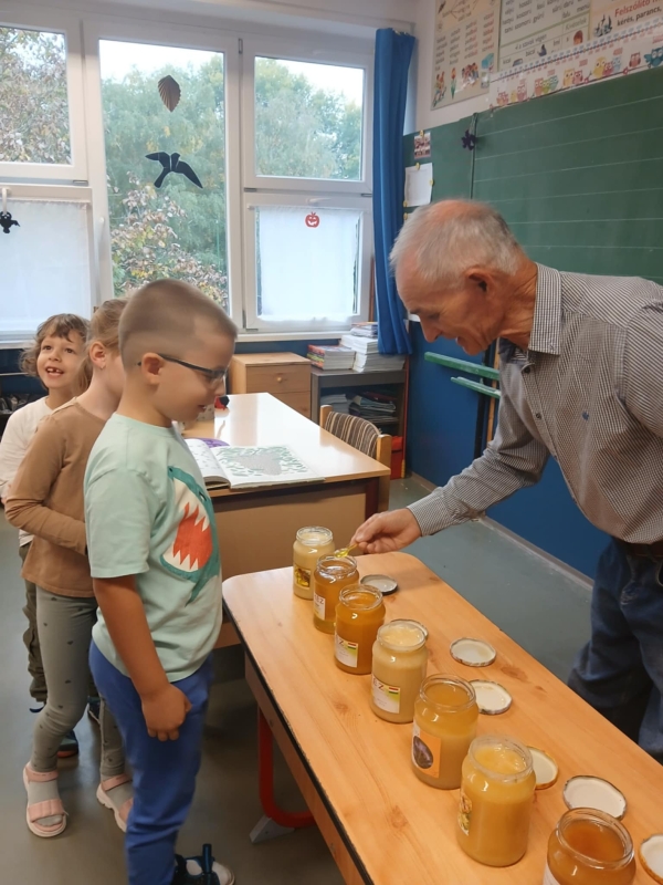 Pályaorientációs nap 