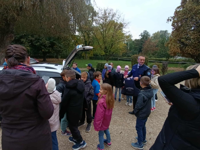 Pályaorientációs nap 