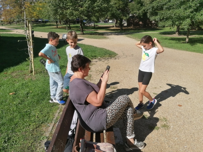 Medve Matek Csapatverseny