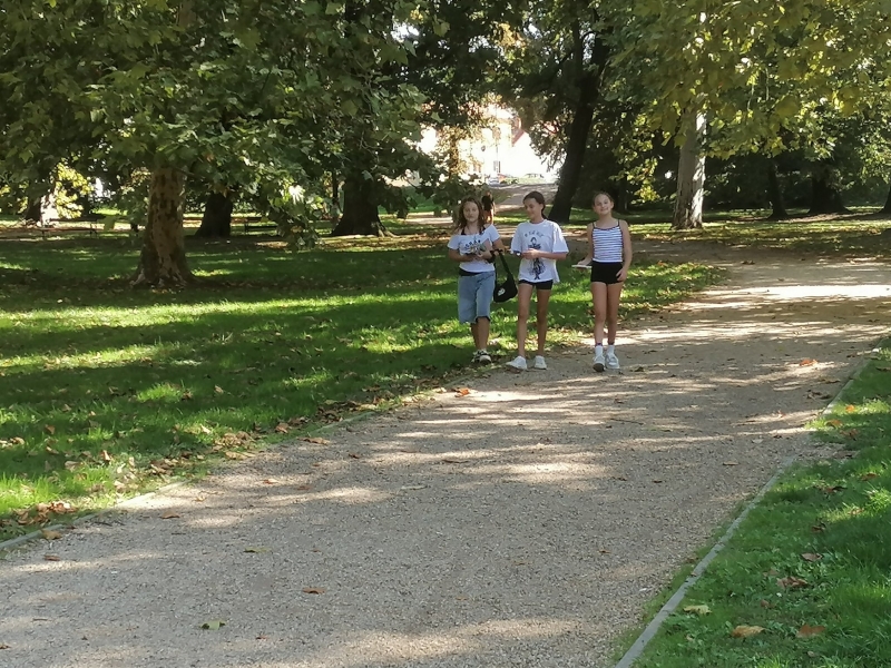 Medve Matek Csapatverseny