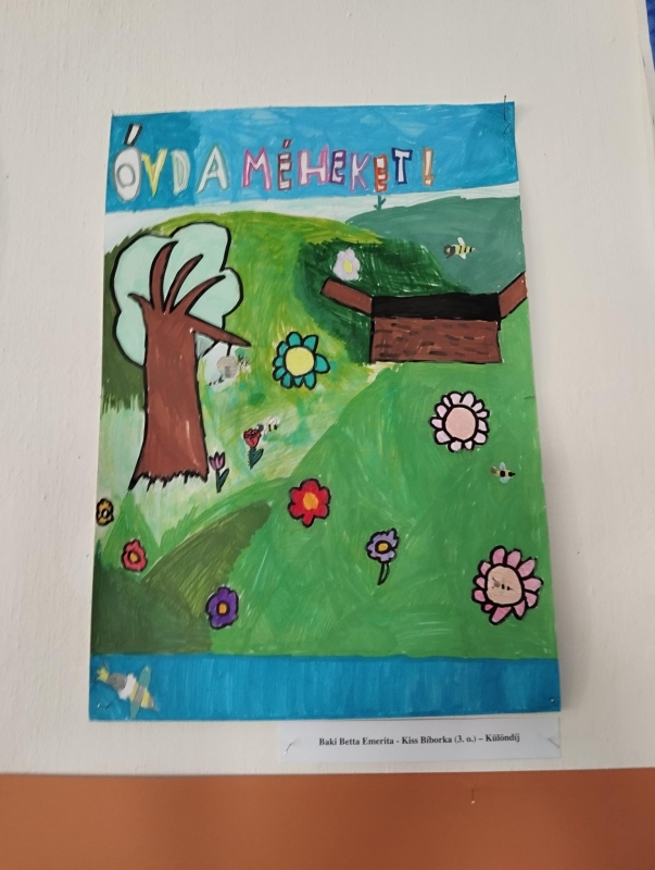 A méhek világa pályázat 2026