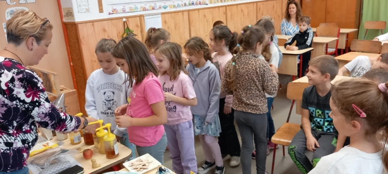 Pályaorientációs nap 