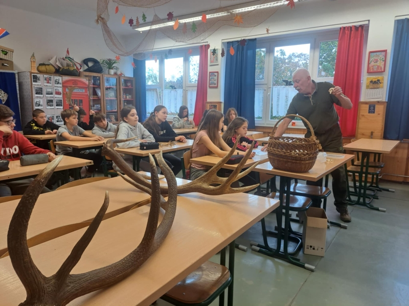 Pályaorientációs nap 