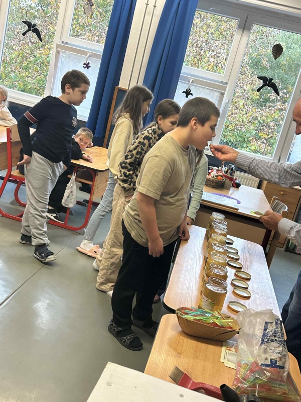 Pályaorientációs nap 