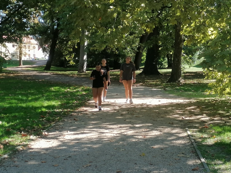 Medve Matek Csapatverseny