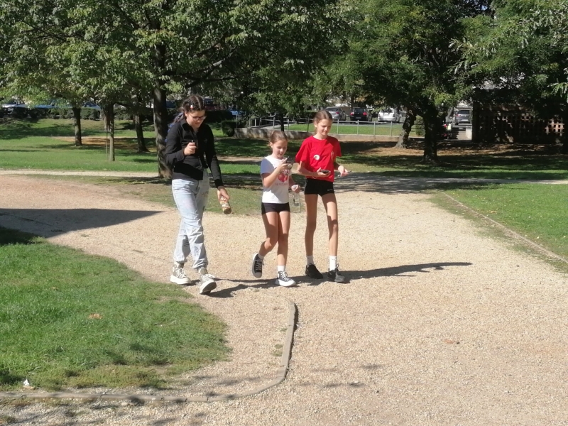 Medve Matek Csapatverseny