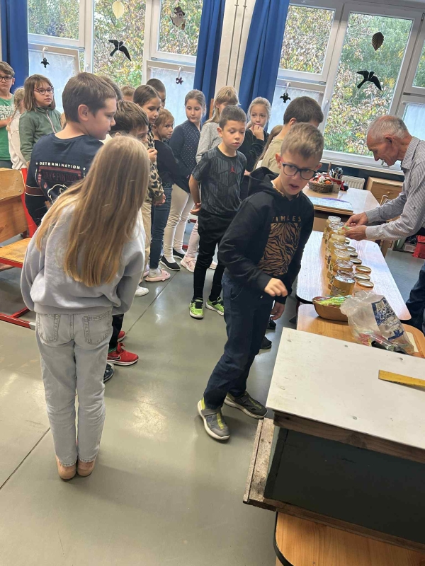 Pályaorientációs nap 