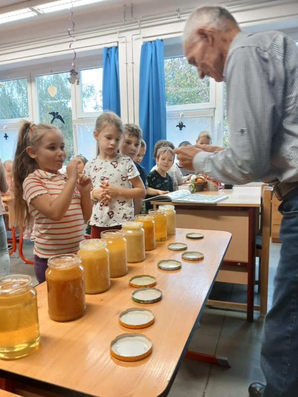 Pályaorientációs nap 